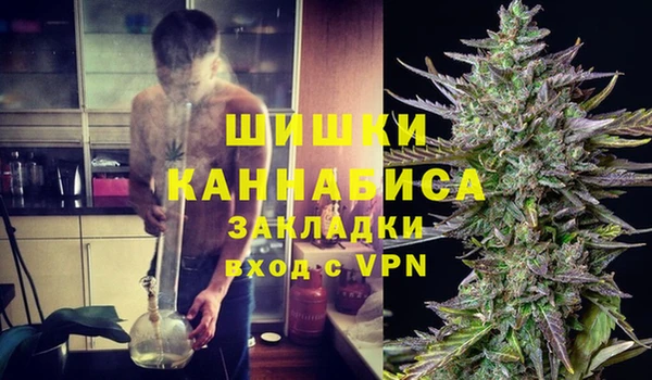 Альфа ПВП Вяземский