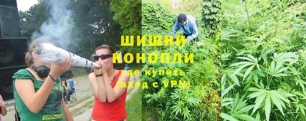 Альфа ПВП Вяземский