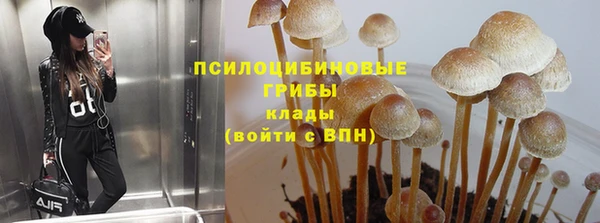 дмт Вязники
