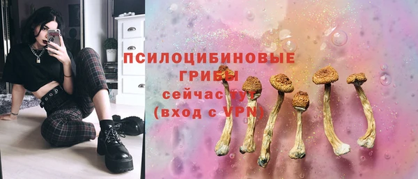 герыч Вязьма